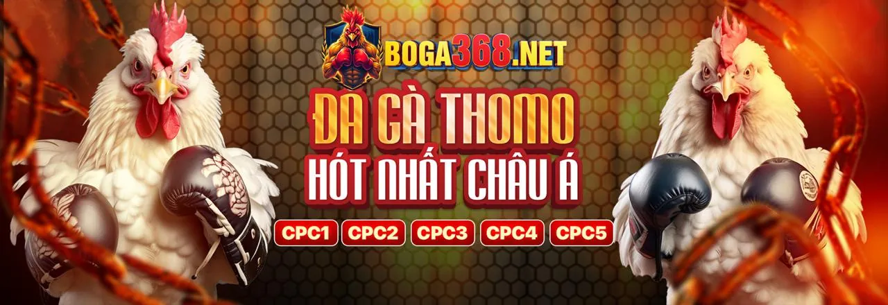 Máy Đánh Bạc Trực Tuyến 555win50