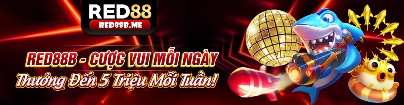 Ứng dụng di động 555win50