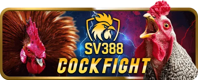 Hướng dẫn nhận thưởng 555win50